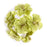 6 Bunches! Small Spring Blossom 5 Stem Lime - 5cm Head Size