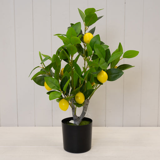 Artificial Lemon Tree 60cm Height