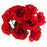 10 Stem Red Velvet Rose Bush
