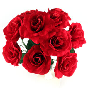 10 Stem Red Velvet Rose Bush