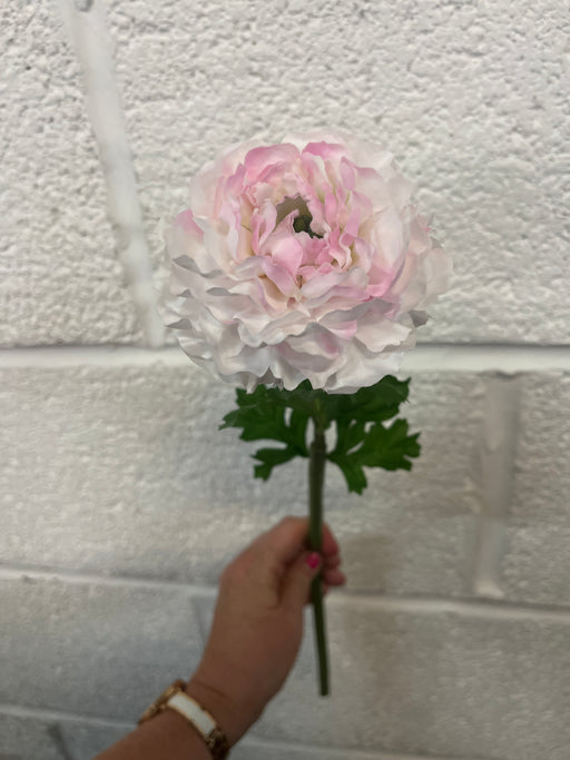 45cm soft pink ranunculus stem