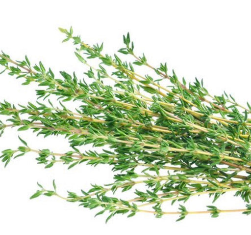 Thyme NO VAT\NO DELIVERY