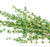 Thyme NO VAT\NO DELIVERY