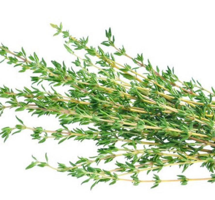 Thyme NO VAT\NO DELIVERY