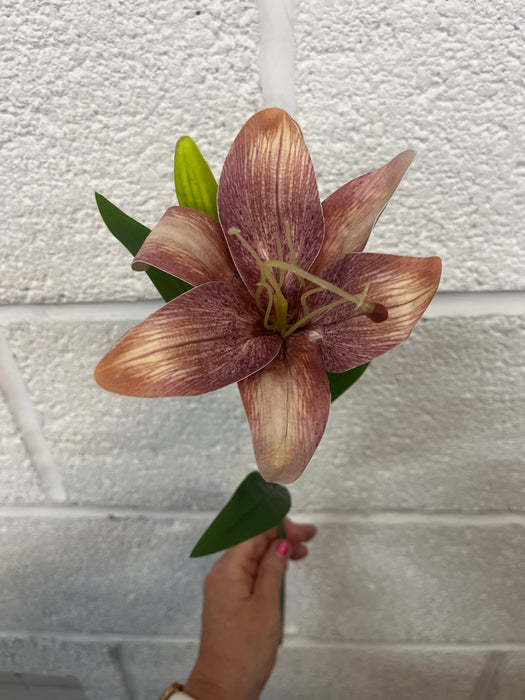 46cm mocha lily stem