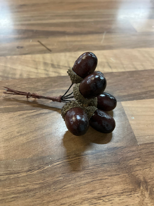 6 brown Acorns on wire stems