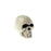 7cm Mini Artificial Skull in a Realistic Finish