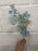 Single stem blue babies breath 65cm