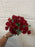 Discontinued 33cm mini wild meadow red rose bush