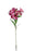 80cm Alstromeria Flower Spray - Cerise Pink - 5 heads