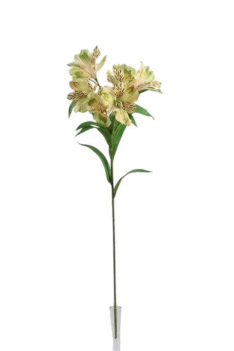 80cm Alstromeria Flower Spray - Cream/Green - 5 heads