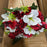 22 Stem Rose Chrysanthemum & Alstroemeria  - Red