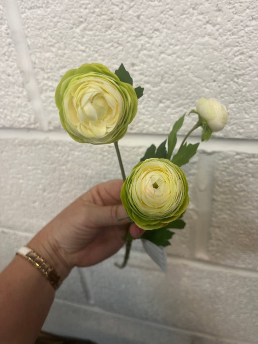 40cm Single stem ranunculus green and ivory