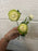 40cm Single stem ranunculus green and ivory