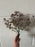 Eucalyptus and sedum brown bush