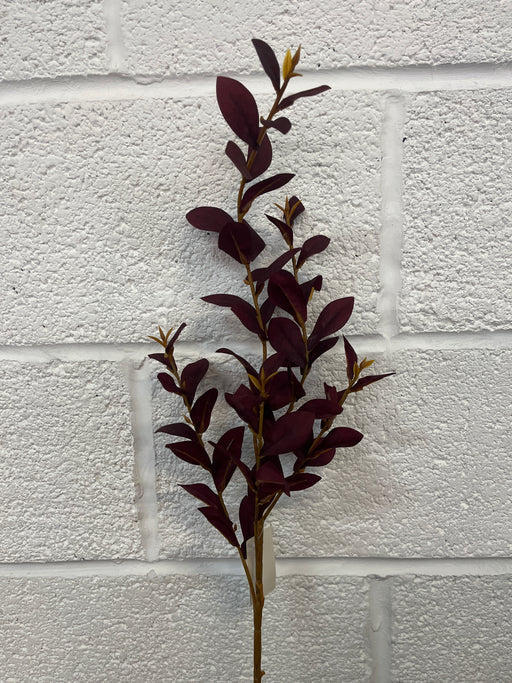 78cm burgundy ruscus stem green