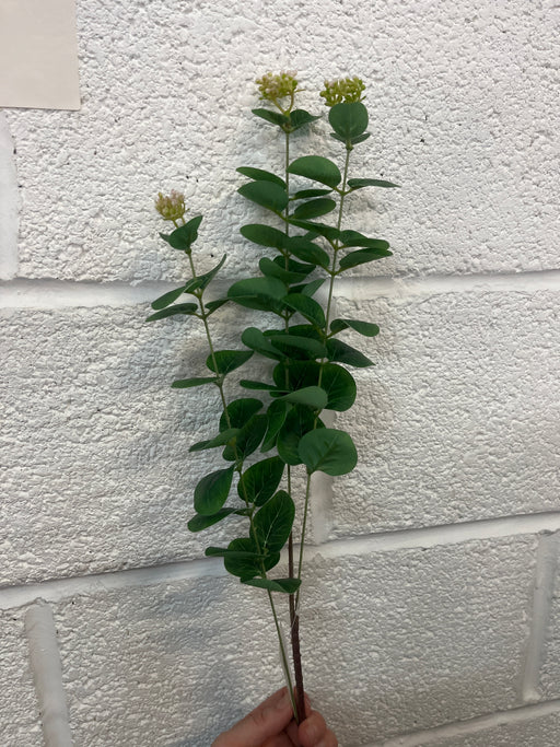 82cm green eucalyptus stem with sedum tops