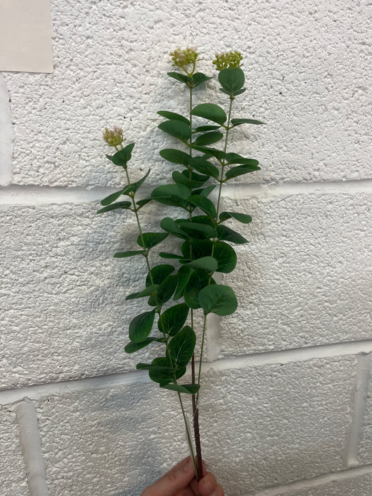82cm green eucalyptus stem with sedum tops