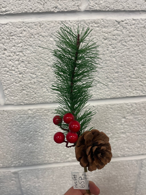 Pine and pine cone off cut