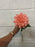 55cm pink peach dahlia stem