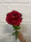 50cm Red ranunculus stem