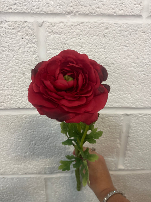50cm Red ranunculus stem