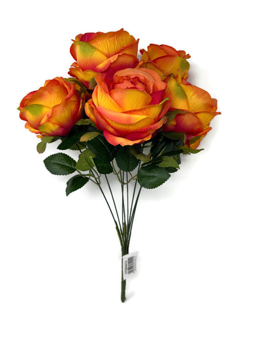 8 Large Head Open Rose Bush x 46cm - Orange