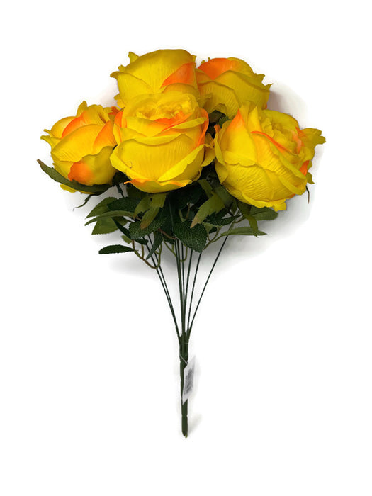 8 Large Head Open Rose Bush x 46cm - Yellow