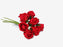 8 Head Foam Rose Bud Bunch - Coral