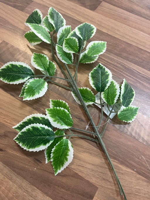 40cm length two stems of variegated rose leaf