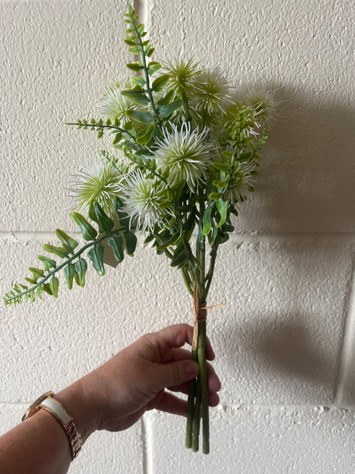 White /green thistle echinops bush