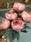 Pink dried look peony bush