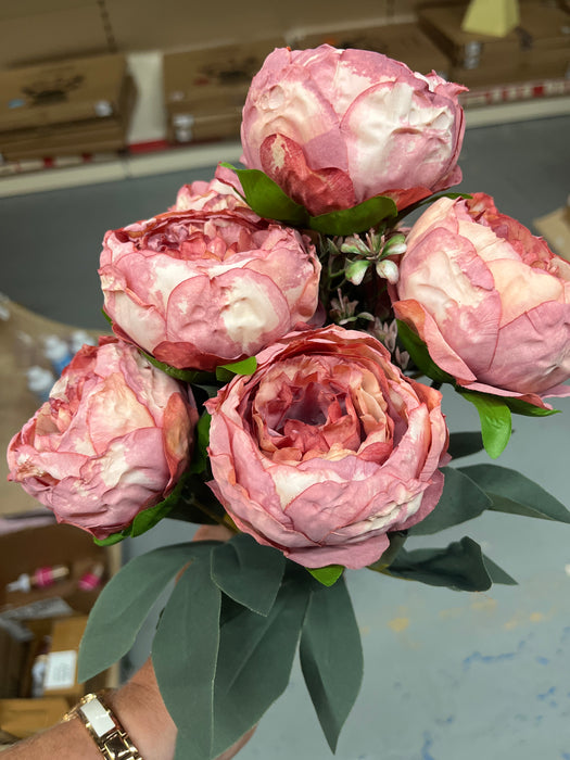 Pink dried look peony bush