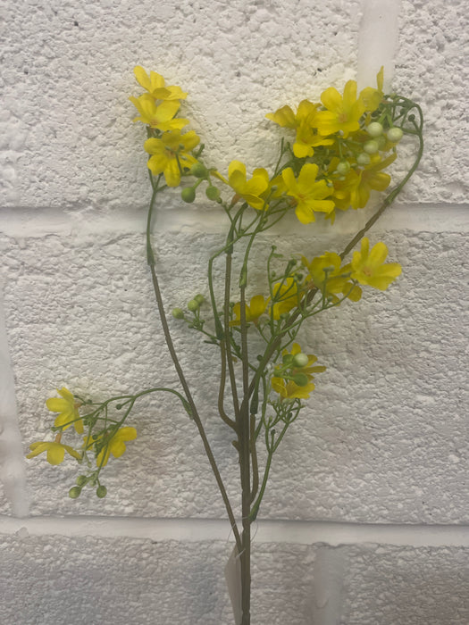 Single stem yellow babies breath 65cm