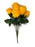 9 Head Rose Bush x 50cm - Orange
