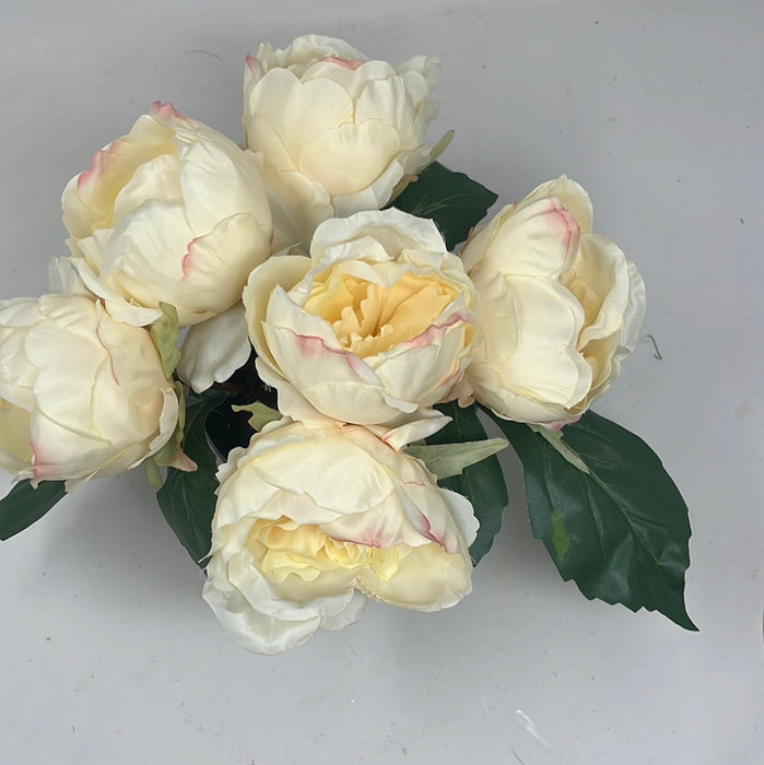 HANDMADE replacement pot with 6 Cream Peonies