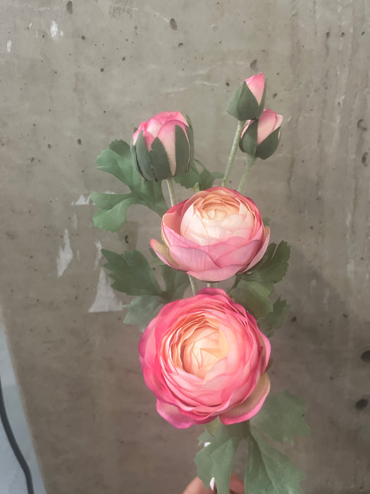 65cm pink ranunculus spray stem