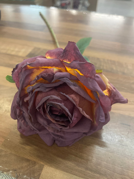 50cm length single stem dried look purple mauve rose
