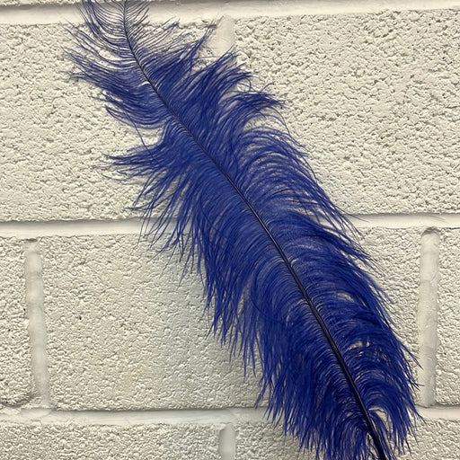 Single Ostrich Feather  Royal Blue