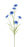 Cornflower Spray - Light Blue/Green (63cm long)