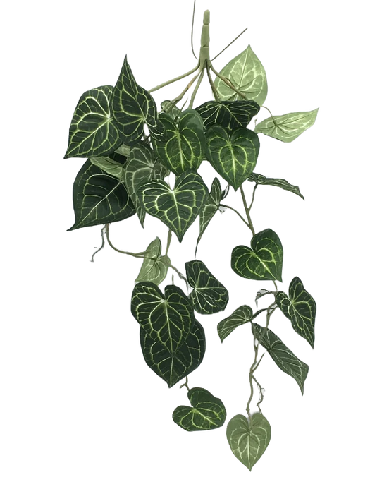 Hanging Caladium Foliage Bush - Green (90cm long)