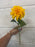 55cm yellow dahlia stem
