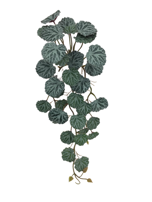 Hanging Geranium Foliage Bush - Green/Brown (45cm long)