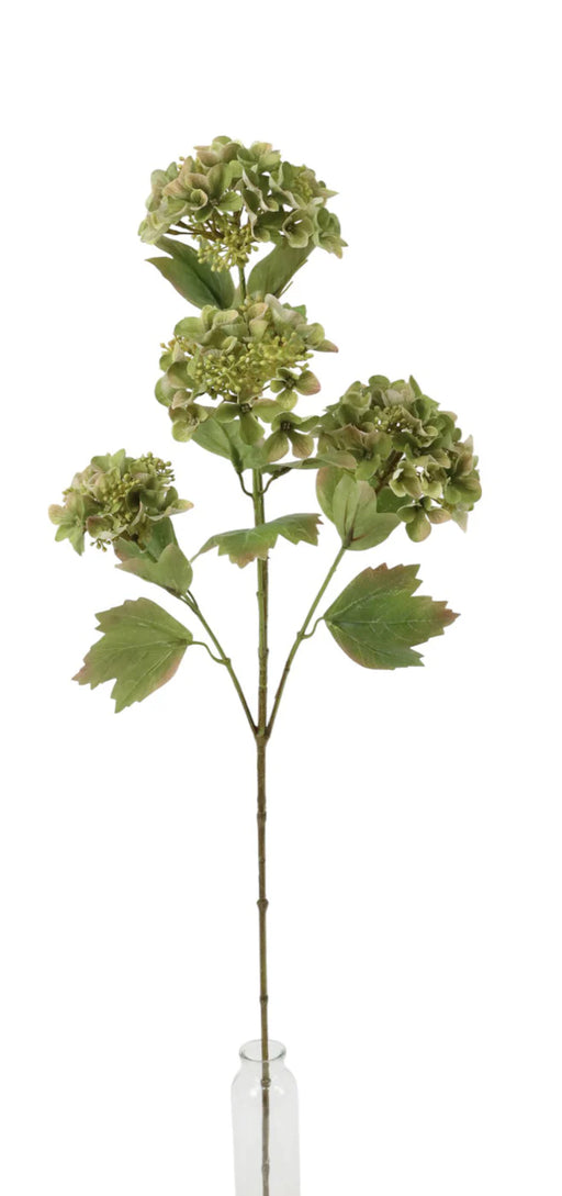 Hydrangea Spray - Green (88cm long with 4 heads)