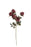Artificial Dry Rose Spray - 43cm Long with 5 Heads - Red