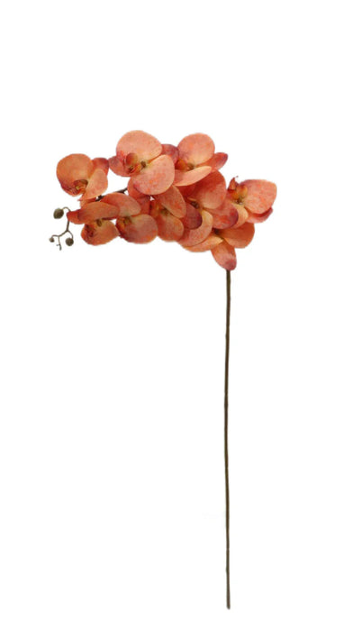 Artificial Phalaenopsis Orchid Spray - Orange - 102cm long with 9 Heads