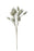 Artificial Tail Grass - White - 70cm long with 15 Heads