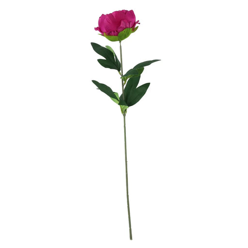 Arundel Garden Peony Stem x 55cm - Cerise