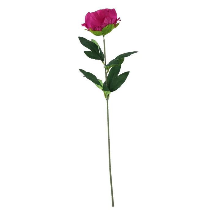 Arundel Garden Peony Stem x 55cm - Cerise