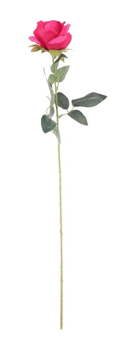 Arundel Rose Stem x 55cm - Cerise